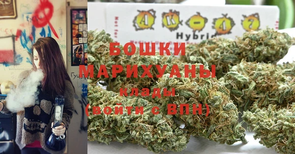 ALPHA PVP Инсар