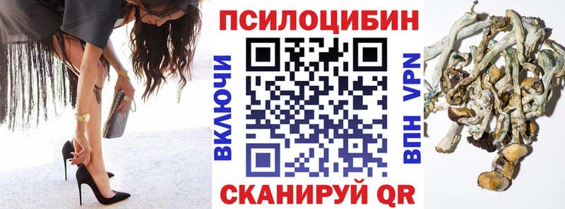 Купить  Тбилисская  Галлюциногенные грибы мухоморы 